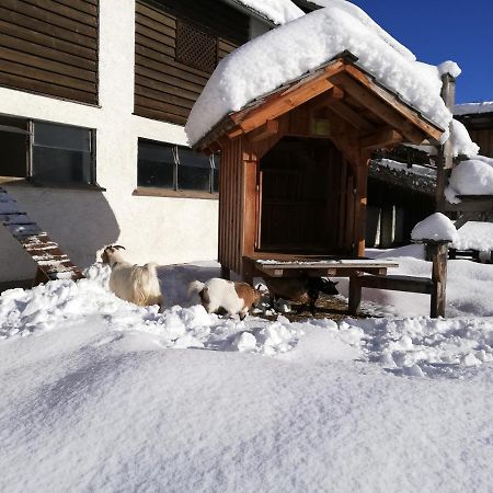 Zweimaederlhaus Apartment Bad Mitterndorf Exterior foto