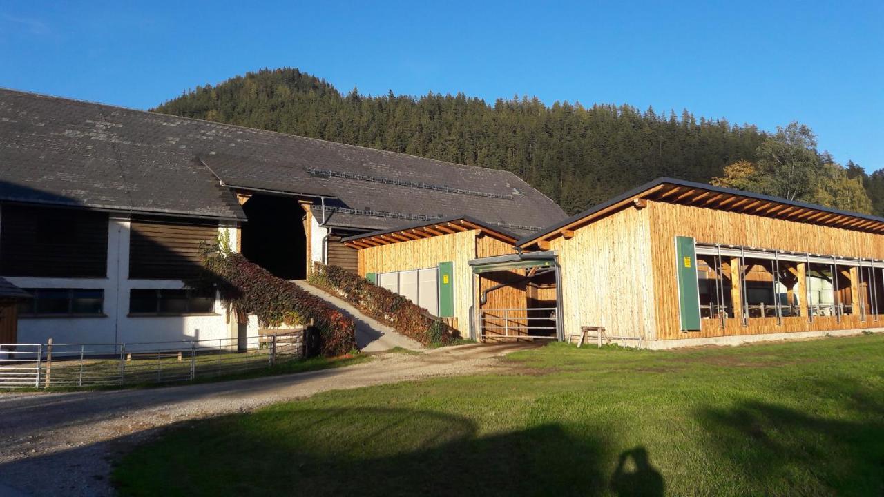 Zweimaederlhaus Apartment Bad Mitterndorf Exterior foto