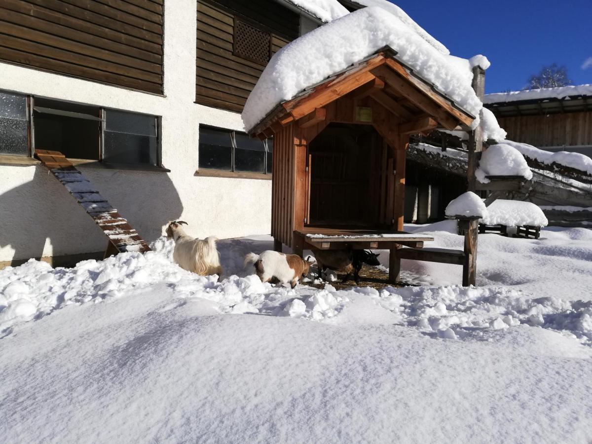 Zweimaederlhaus Apartment Bad Mitterndorf Exterior foto